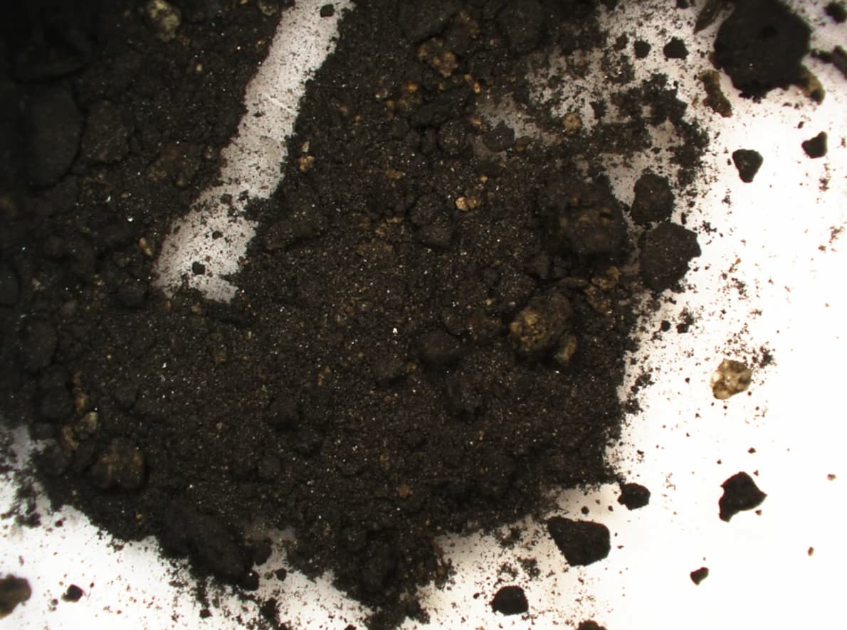 A 2,000-Year-Old Roman Inkwell from Conimbriga Reveals a Groundbreaking Mixed-Ink Formula