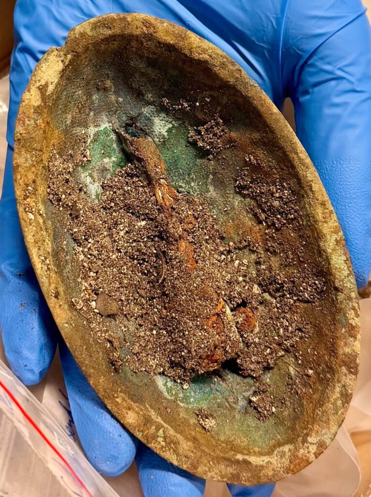 A 9th-Century Woman Buried with Scallop Shells at Her Mouth Baffles Archaeologists in Norway
