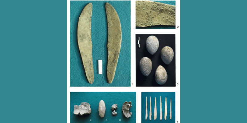 Bronze Age ‘Mega-Settlement’ on the Kazakh Steppe Challenges Old Narratives of Early Urbanism