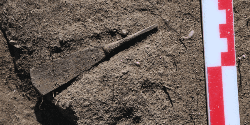 Bronze Age ‘Mega-Settlement’ on the Kazakh Steppe Challenges Old Narratives of Early Urbanism