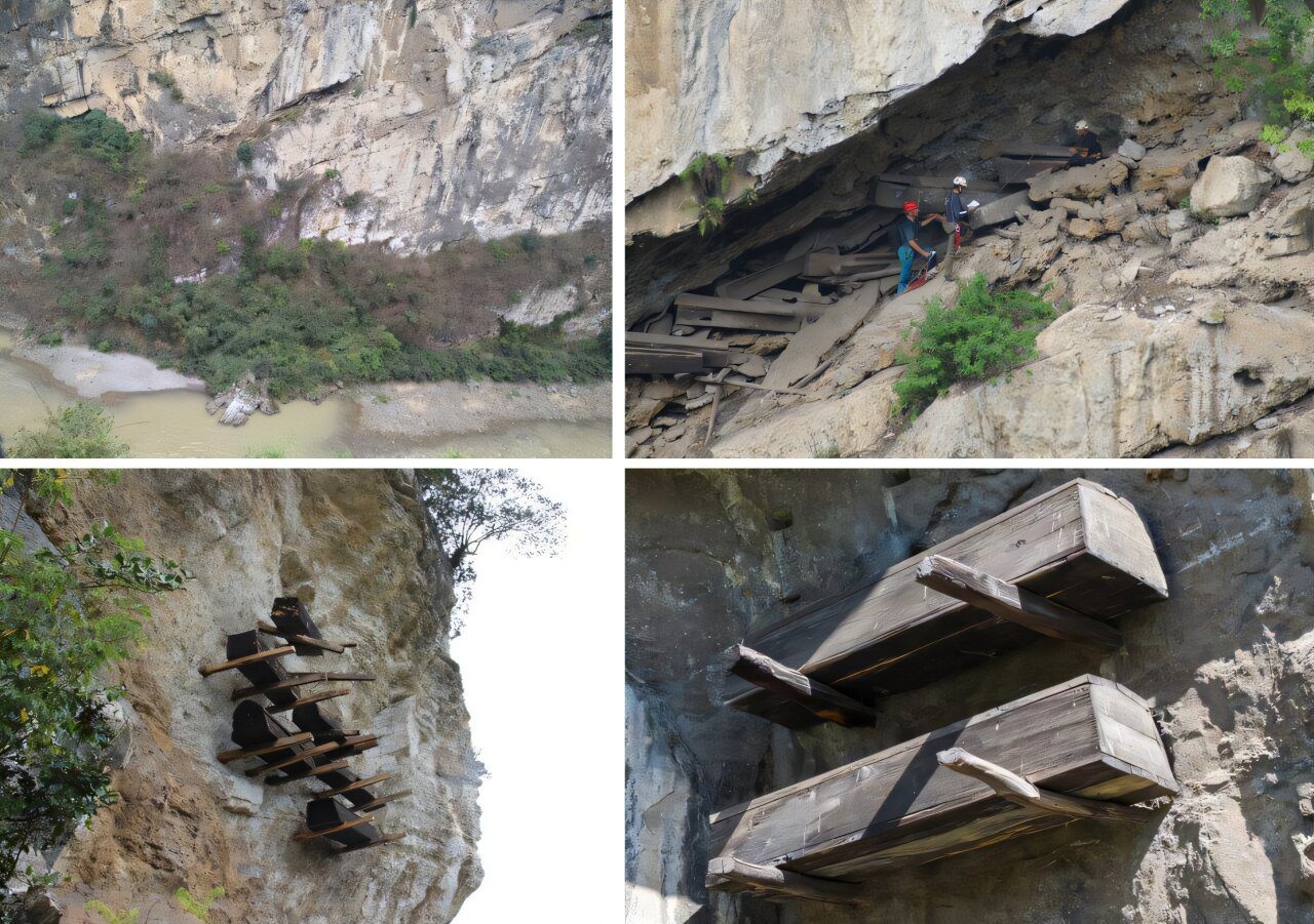 From Cliff Faces to Karst Villages: Modern Bo Communities Carry the Genetic Echo of the Hanging Coffin Tradition