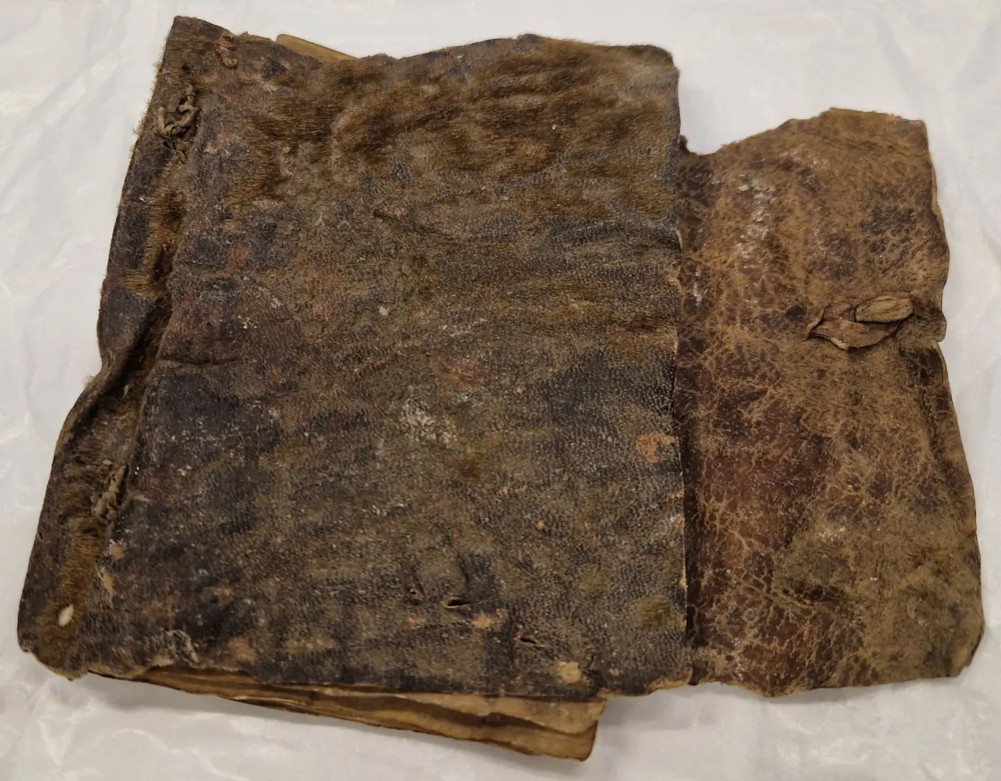 Norway’s Oldest Book May Have Been Bound in Seal Skin: An 800-Year-Old Treasure Resurfaces