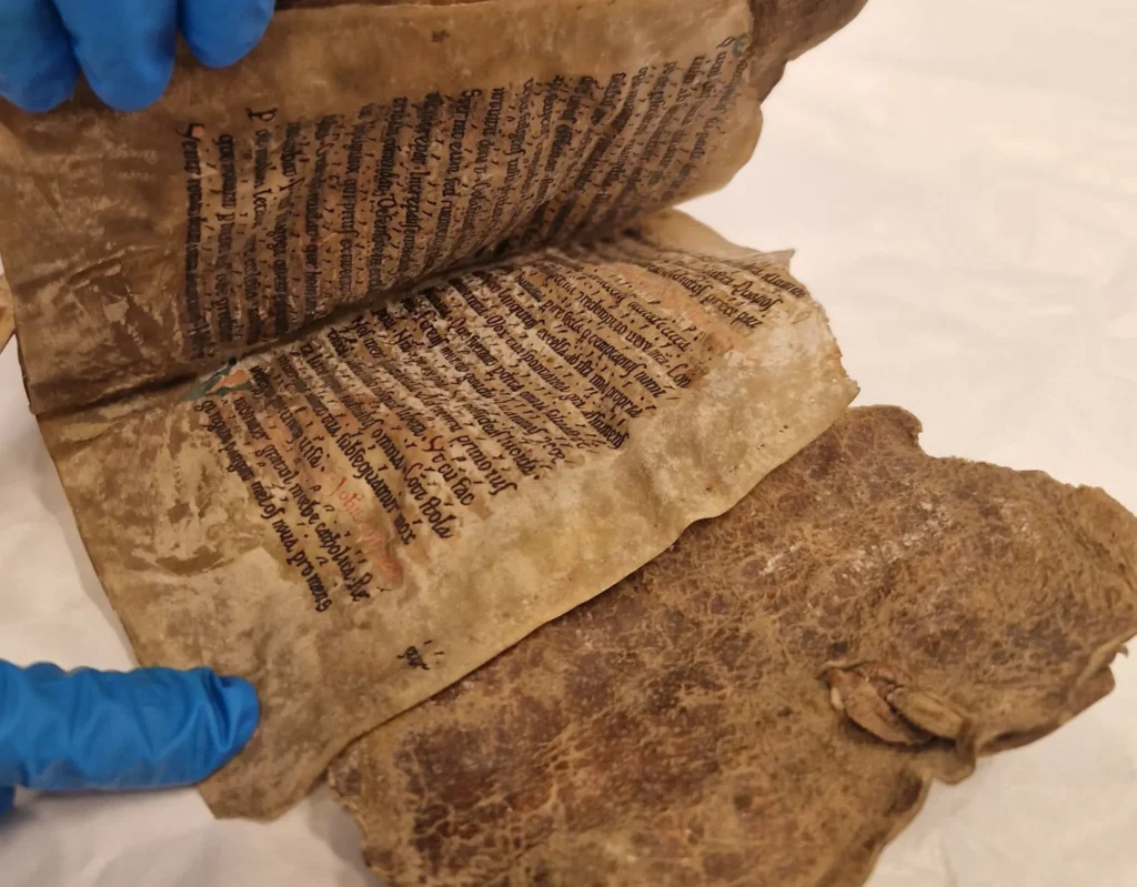 Norway’s Oldest Book May Have Been Bound in Seal Skin: An 800-Year-Old Treasure Resurfaces