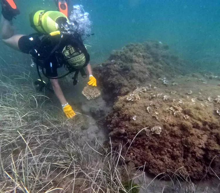 Archaeologists Find Unusual Shell Workshop at Perinthos, a Coastal City of Ancient Thrace