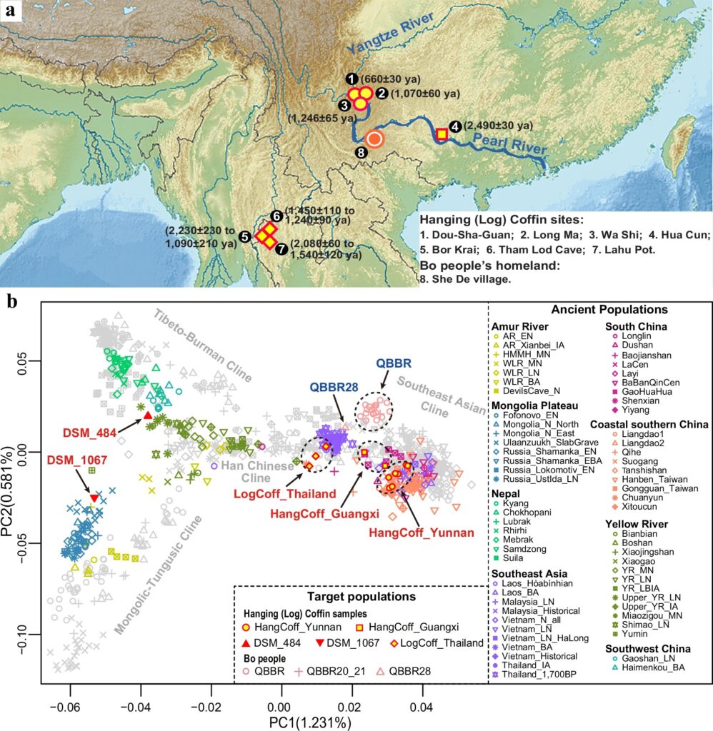 From Cliff Faces to Karst Villages: Modern Bo Communities Carry the Genetic Echo of the Hanging Coffin Tradition