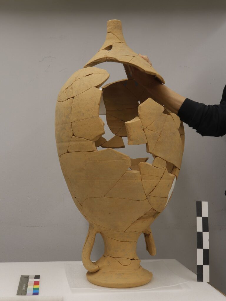 A Roman Amphora Reveals Sardine Consumption in Roman-Era Switzerland