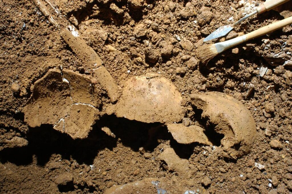 DNA Reveals the Hidden Social Life of a 3,500-Year-Old Bronze Age Community in Southern Italy