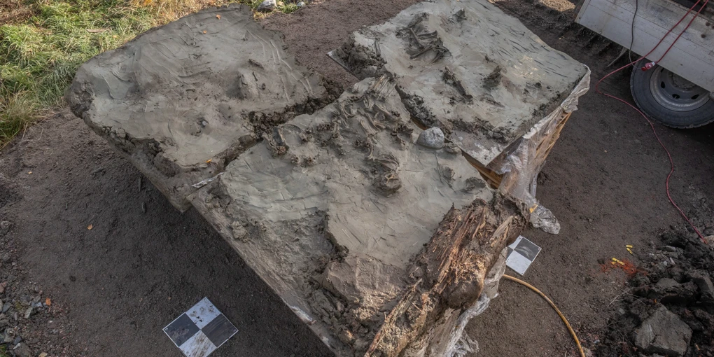 A Dog Buried with a Dagger Beneath a Lake: A 5,000-Year-Old Ritual Found in Sweden