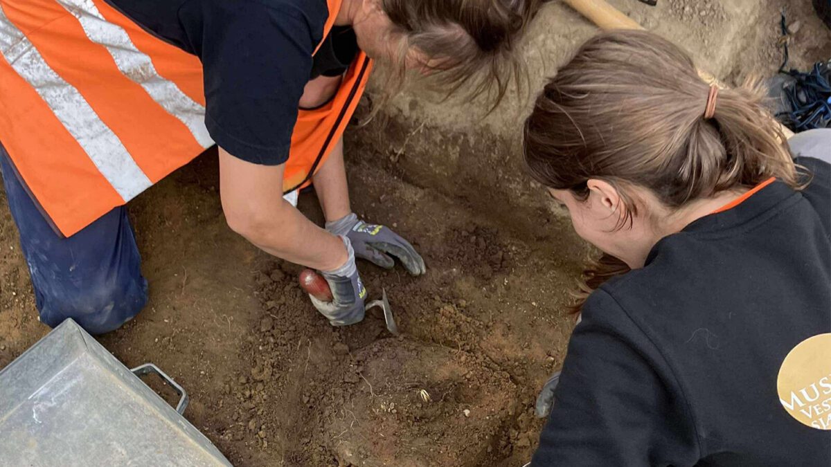 Denmark’s Earliest Iron Weapons Unearthed: Gold-Inlaid Spears Offered to a Sacred Spring 2,800 Years Ago