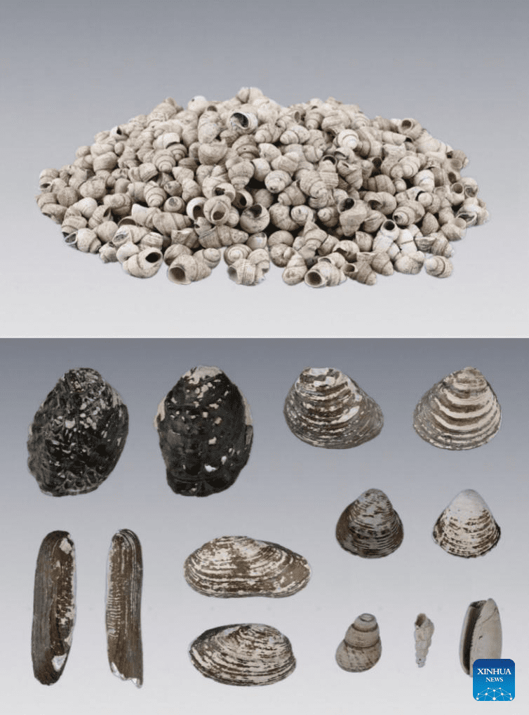 China Confirms the Oldest Prehistoric Site Around Lake Taihu: Baojia Dates Back 7,500–8,100 Years
