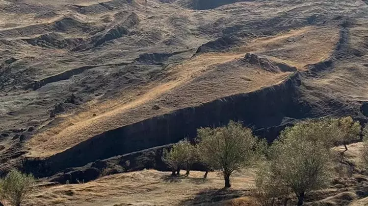 So-Called ‘Noah’s Ark’ Formation