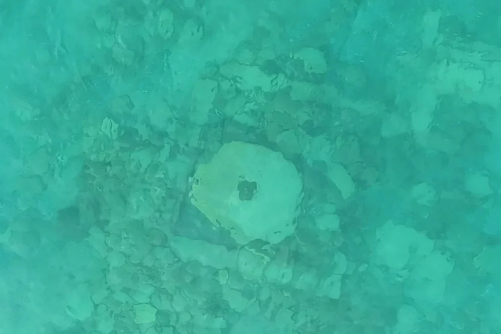 A Medieval City Discovered in Lake Issyk-Kul