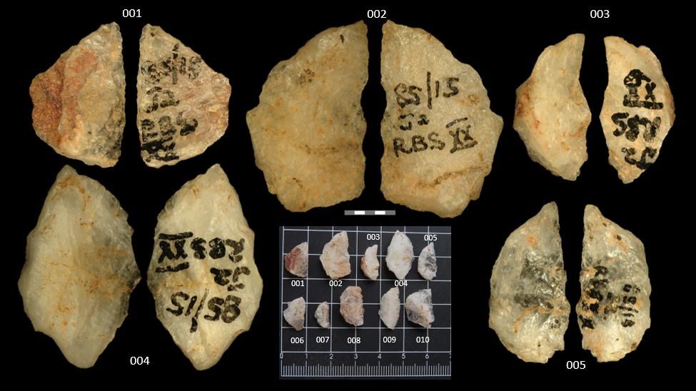 Ancient Poisoned Arrowheads