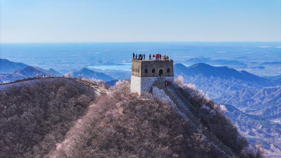 Largest Ming-Era Cannon Ever Found at Jiankou Section of the Great Wall