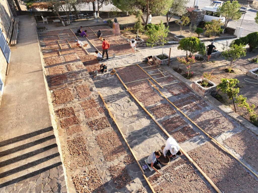 3,000 Ritual Water Vessels Unearthed at Aigai’s Demeter Sanctuary in Western Türkiye