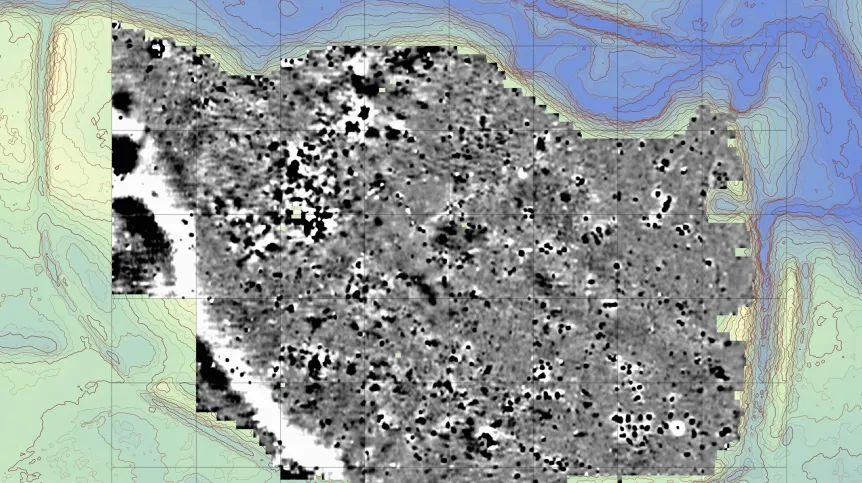 A Lost Medieval City Emerges from the Forest: The Mystery of Stolzenberg
