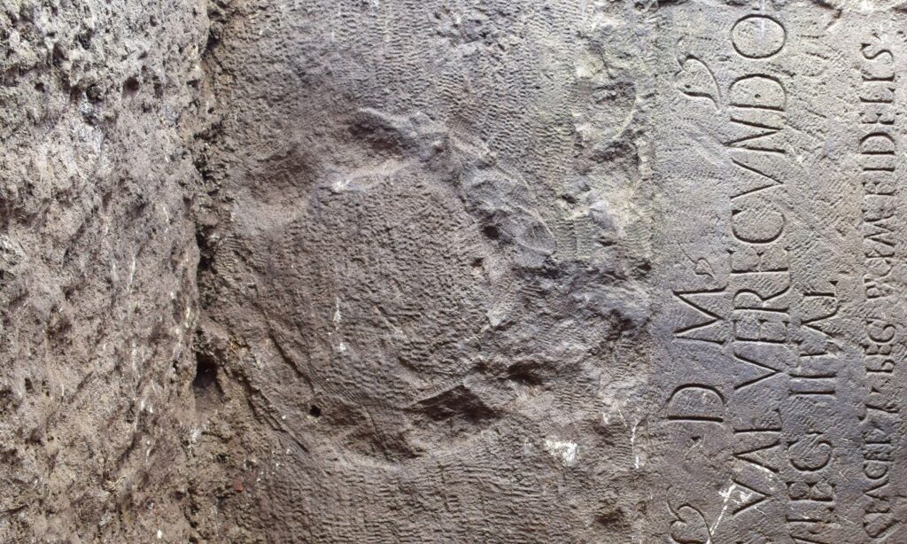 Centurion of the First Italic Legion Revealed in Newly Discovered Nove Necropolis Grave