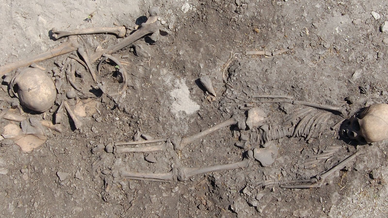 DNA Reveals Family Bonds Shaped 5,500-Year-Old Burials on Gotland’s Baltic Coast