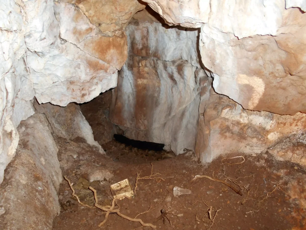 11,000-Year-Old Girl Identified Through DNA