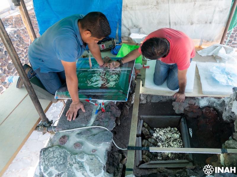 Massive 15th-Century Ceremonial Offering Discovered at the Heart of Tenochtitlan