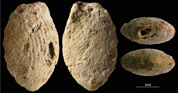 15,000 Years Ago, Children Shaped Clay in Israel—Long Before Pottery or Farming Emerged