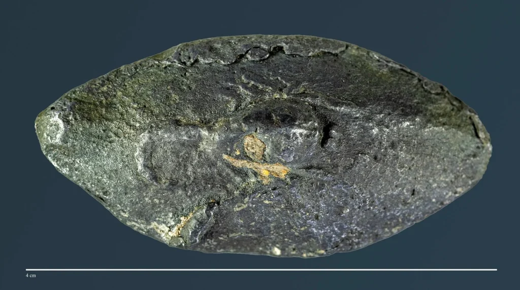 2,000-Year-Old Sling Bullet