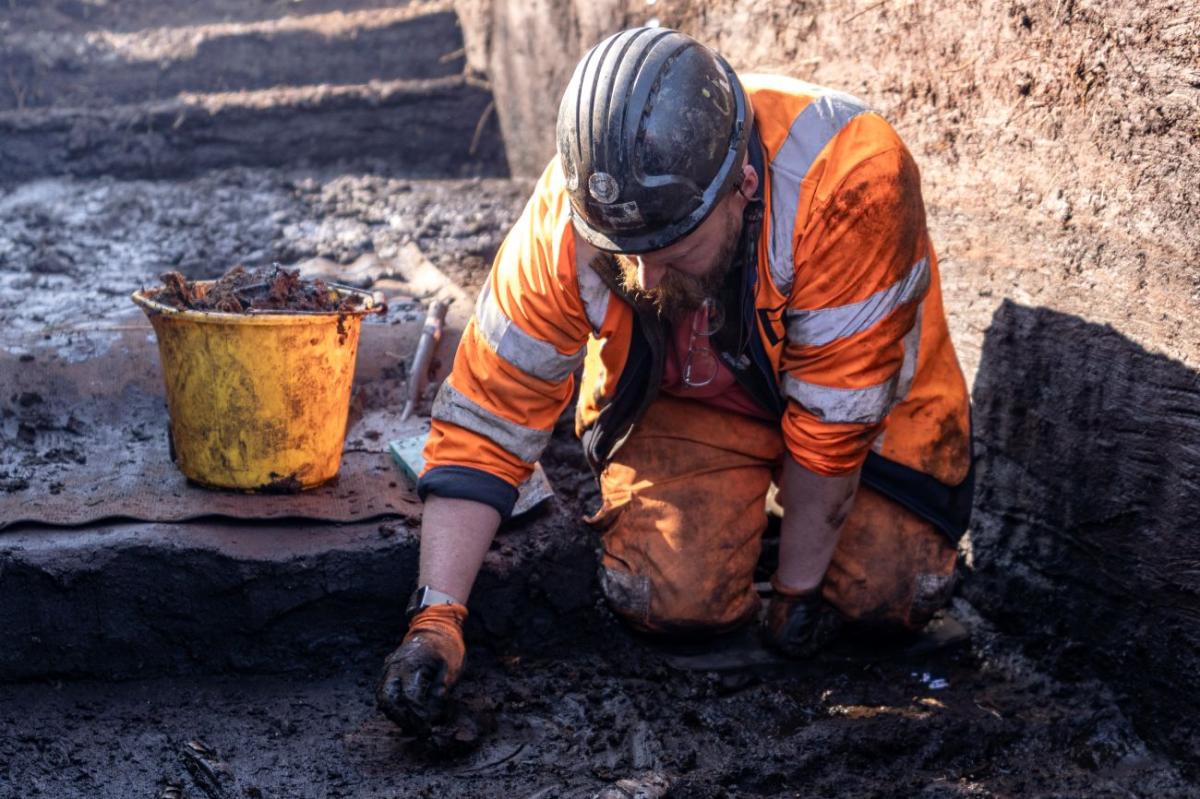 6,000-Year-Old Neolithic Trackway Discovered Beneath Somerset Peatland