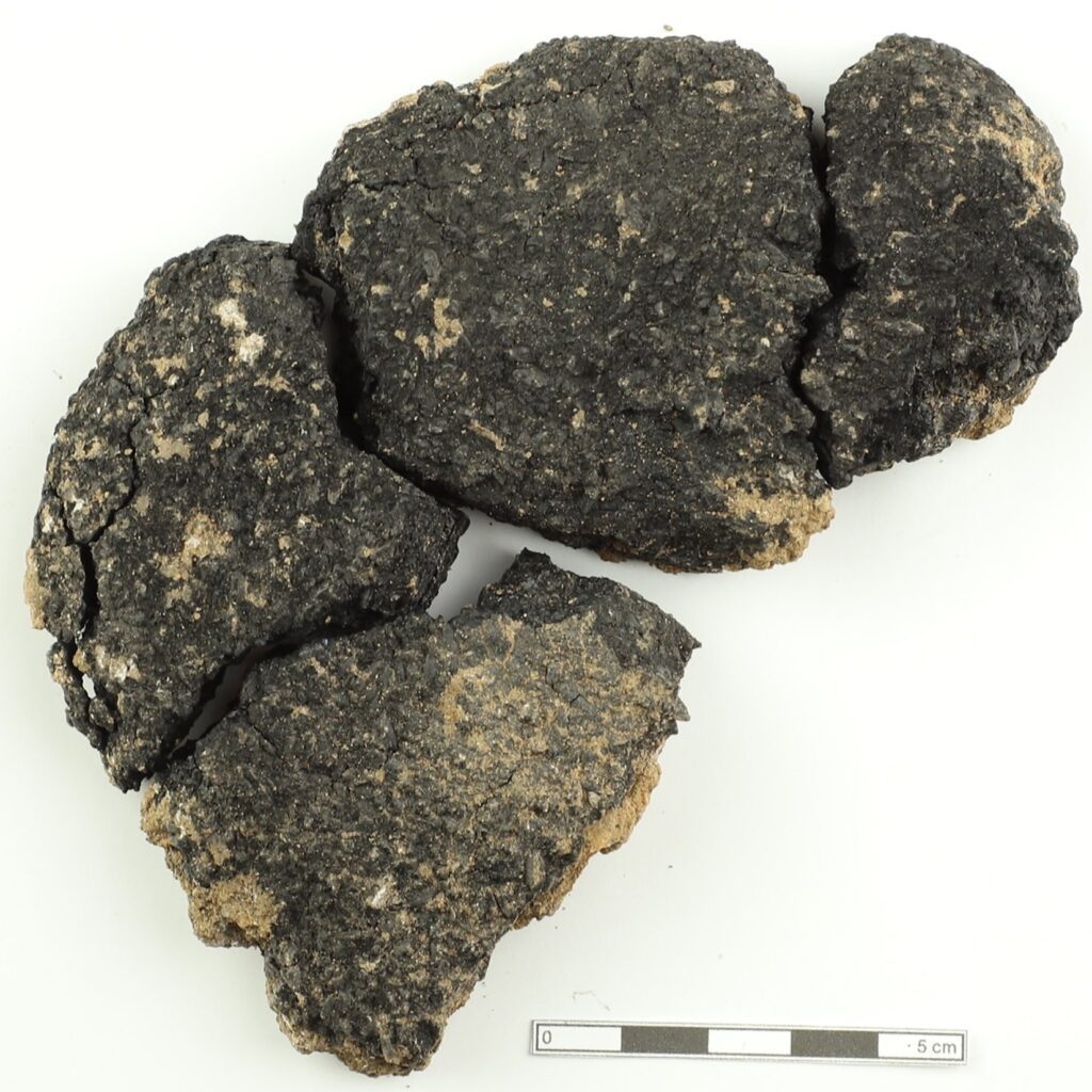 Buried at a Doorway for 5,000 Years: Ancient Bread from Anatolia Reveals a Lost Recipe—and a Ritual
