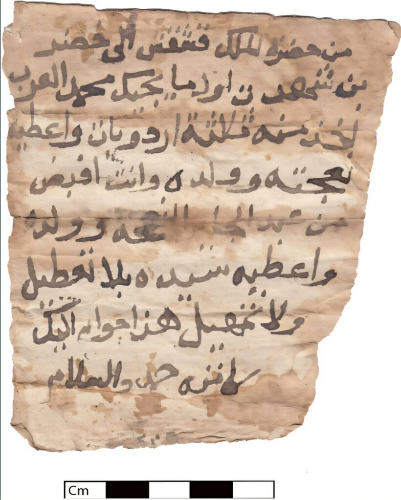 Nubian King Qashqash