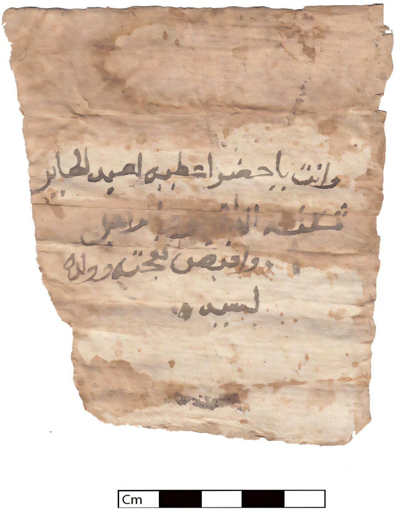Arabic Document from 17th-Century Rubbish Heap Confirms Existence of Nubian King Qashqash