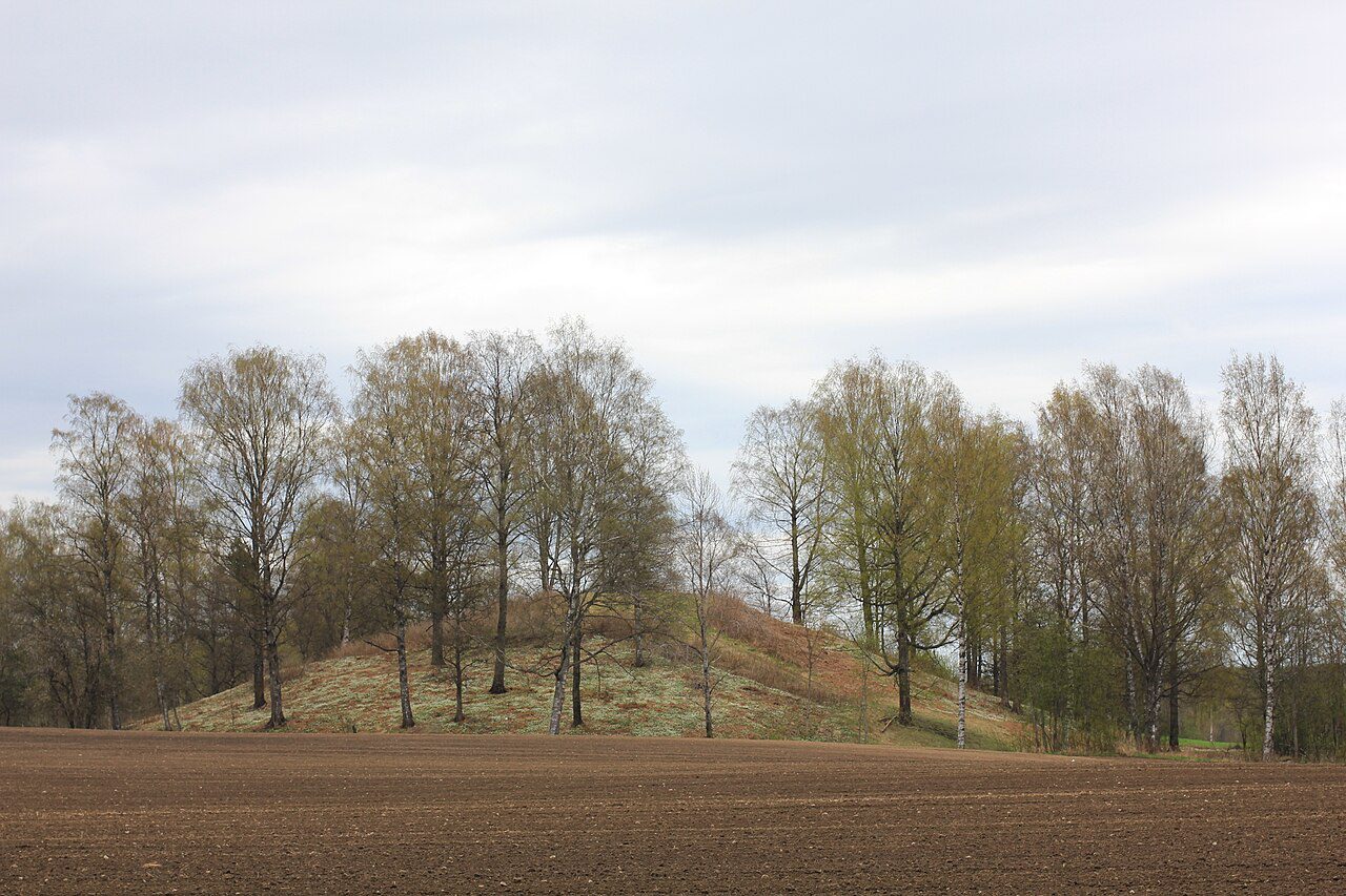 Raknehaugen May Not Be a Royal Burial After All—Study Points to Catastrophic Origin
