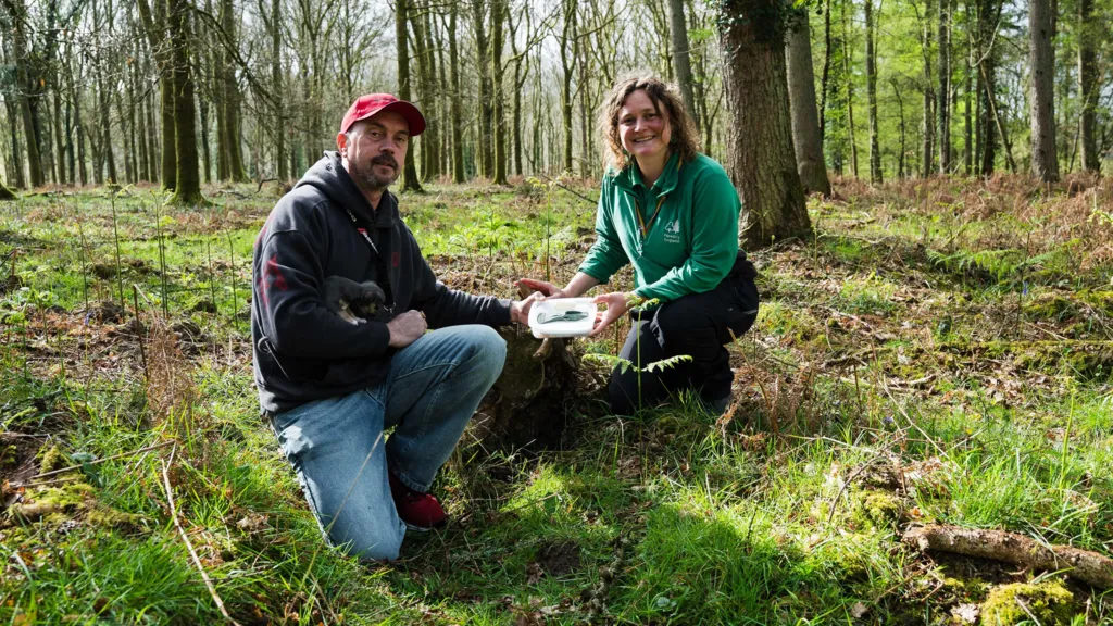 Dog Walker Spots Green Glint in Forest Roots, Finds 3,400-Year-Old Bronze Age Axe Head