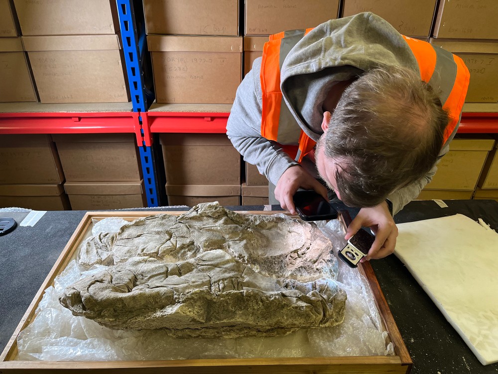 Babies in Roman York Were Buried in Imperial Purple Cloth Once Reserved for Emperors