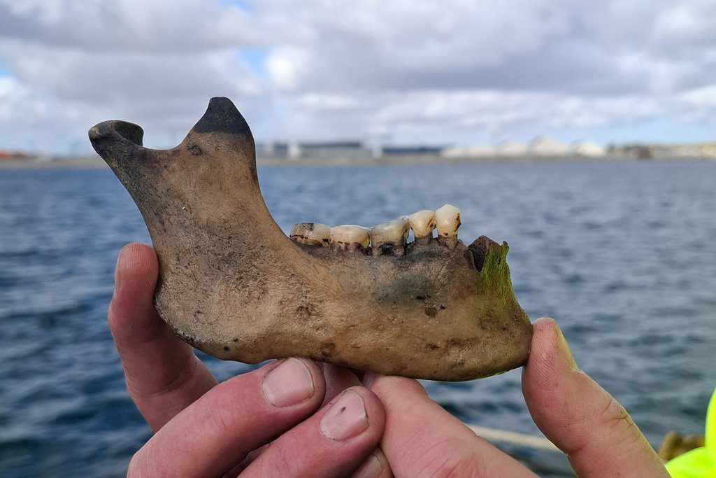 Maritime Archaeologists Discover Warship Lost in the 1801 Battle of Copenhagen1