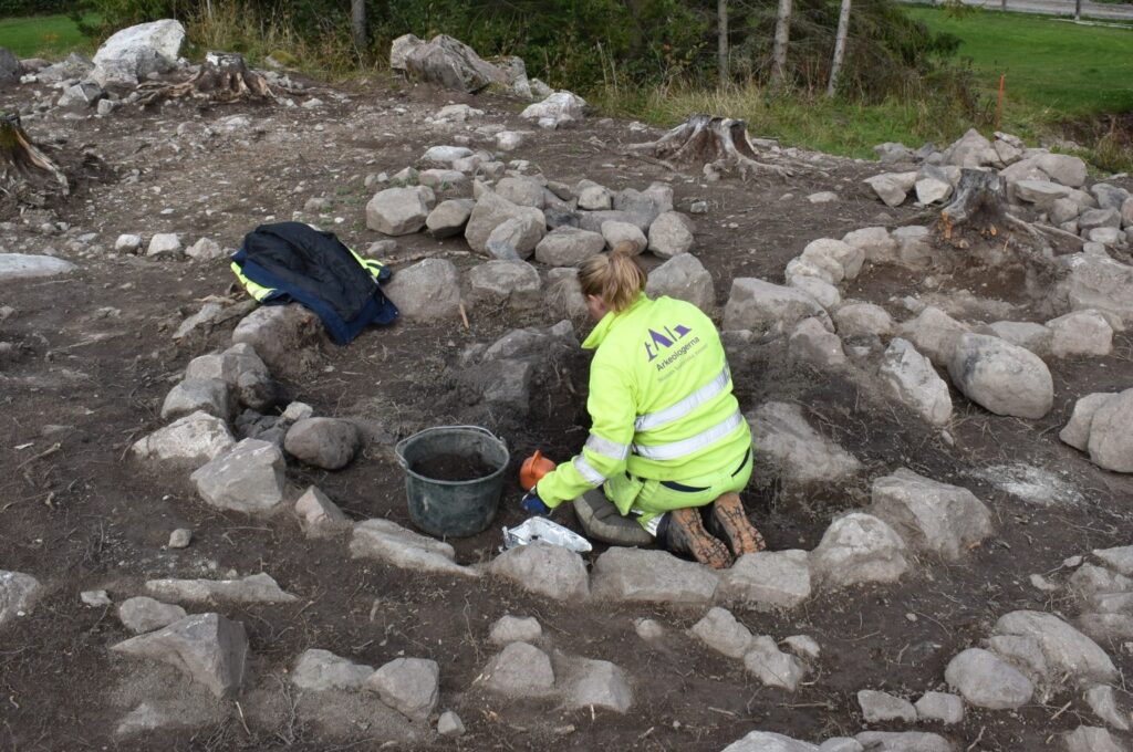 Over 500 Viking Horse Artefacts Discovered in Sweden, with Horses Cremated Beside Their Owners