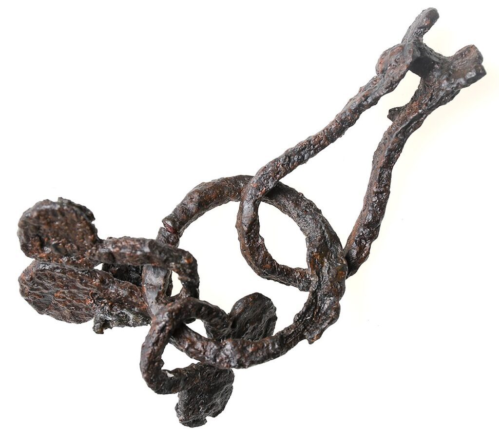 Over 500 Viking Horse Artefacts Discovered in Sweden, with Horses Cremated Beside Their Owners
