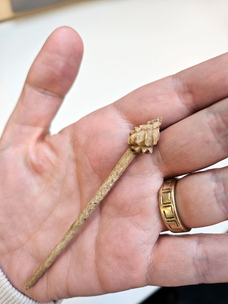 Roman Pinecone Hairpin Found in Britain Carried a Hidden Symbol of Fertility and Power