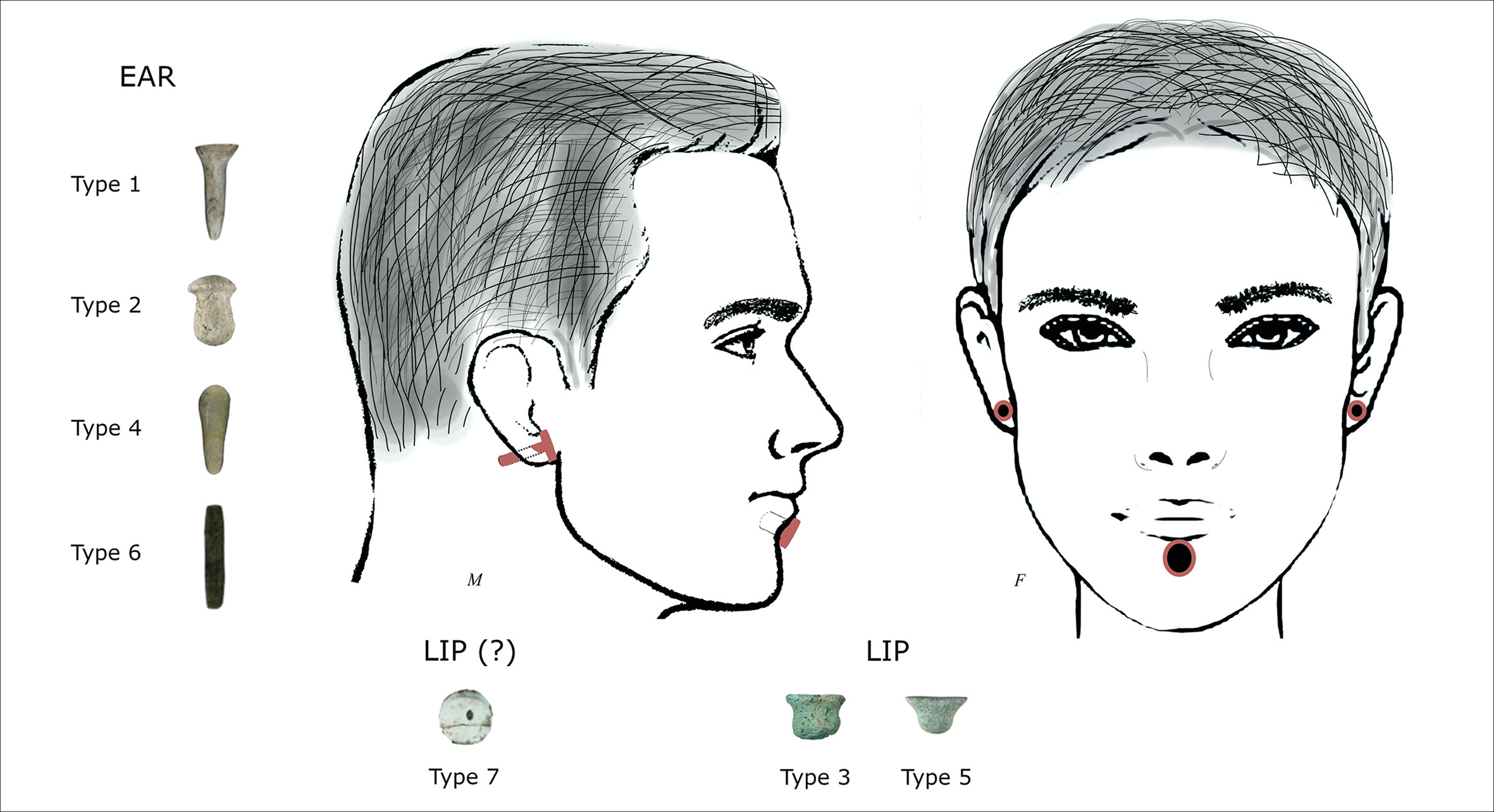 11,000-Year-Old Piercing Evidence at Boncuklu Tarla Reveals How Neolithic People Shaped Identity Through the Body