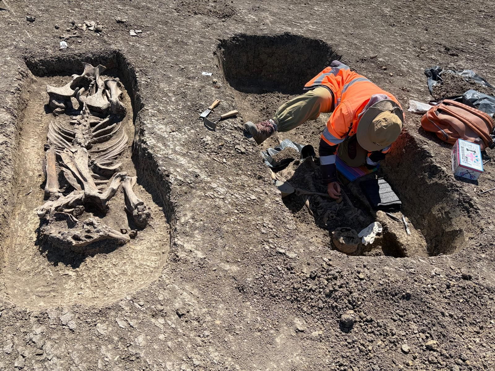 1,300-Year-Old Avar Warrior Buried with His Horse Unearthed on Romania Bypass Route