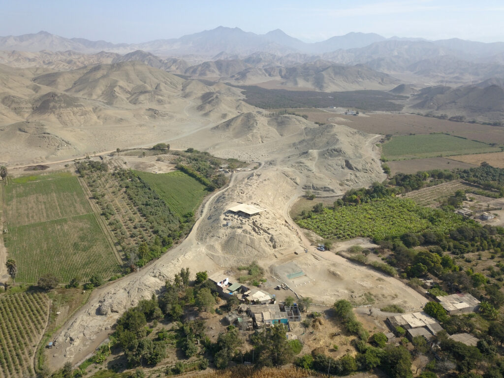 1300-Year-Old-Peruvian-Hairless-Dogs-Found-in-Wari-Tombs-Were-Fed-Like-Children-scaled