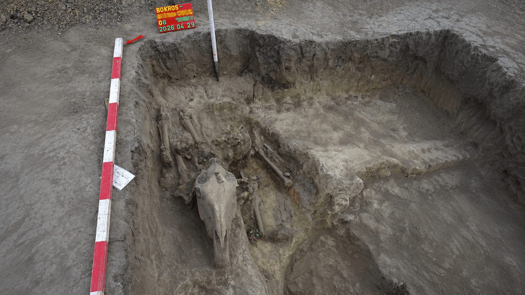 Elite Mounted Warrior Grave Linked to Early Hungarians Unearthed in Csongrád-Bokros_