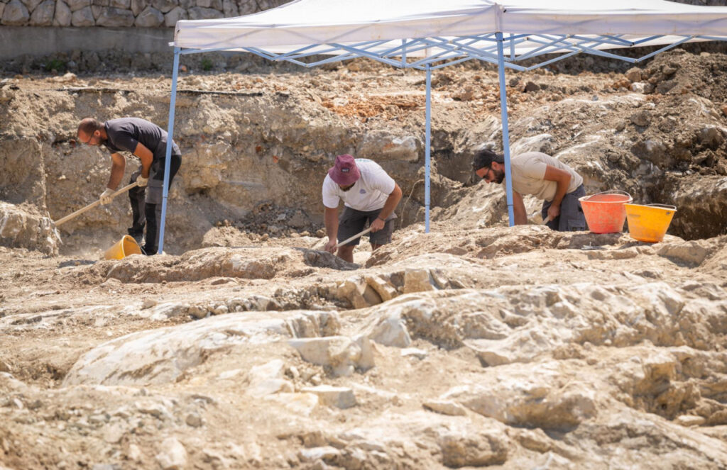 Huge Roman Villa and Olive Oil Complex Discovered Near Ancient Salona in Croatia