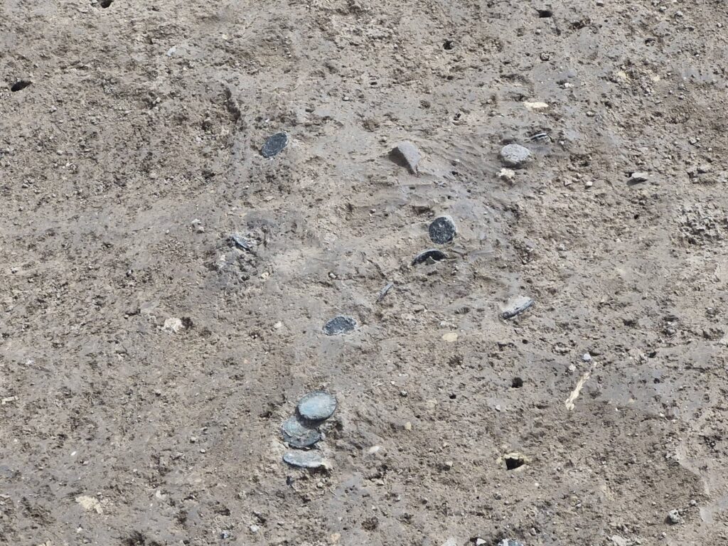 Nearly 300 Roman Coins Found Where Soldiers May Have Buried Their Pay on Croatia’s Danube Frontier