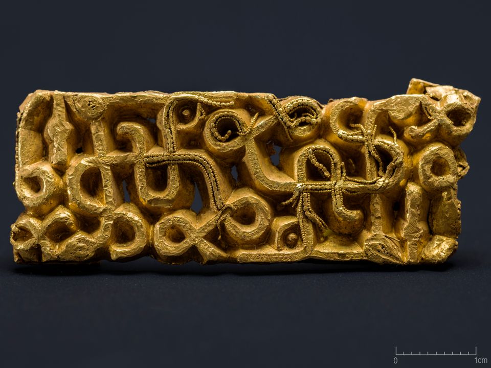 Rare Gold Sword Fitting Found Beneath Fallen Tree Reveals Norway’s 1,500-Year-Old Warrior Elite