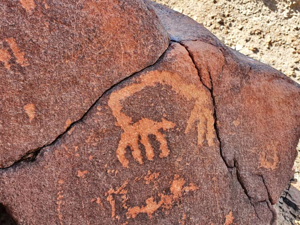 Rare Rock Carvings Found in Oman Show Animals and Human-Like Figures Cut Into Stone