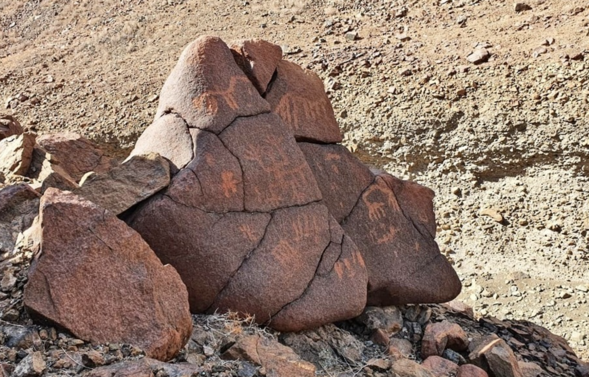 Rare Rock Carvings Found in Oman Show Animals and Human-Like Figures Cut Into Stone