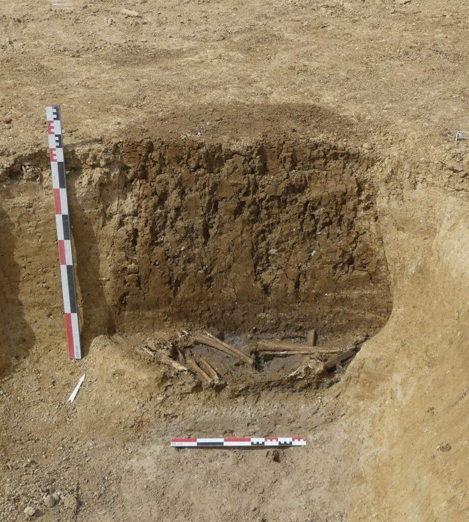 Unusual Gallic Burial in France Reveals Two Entwined Skeletons Inside a Silo