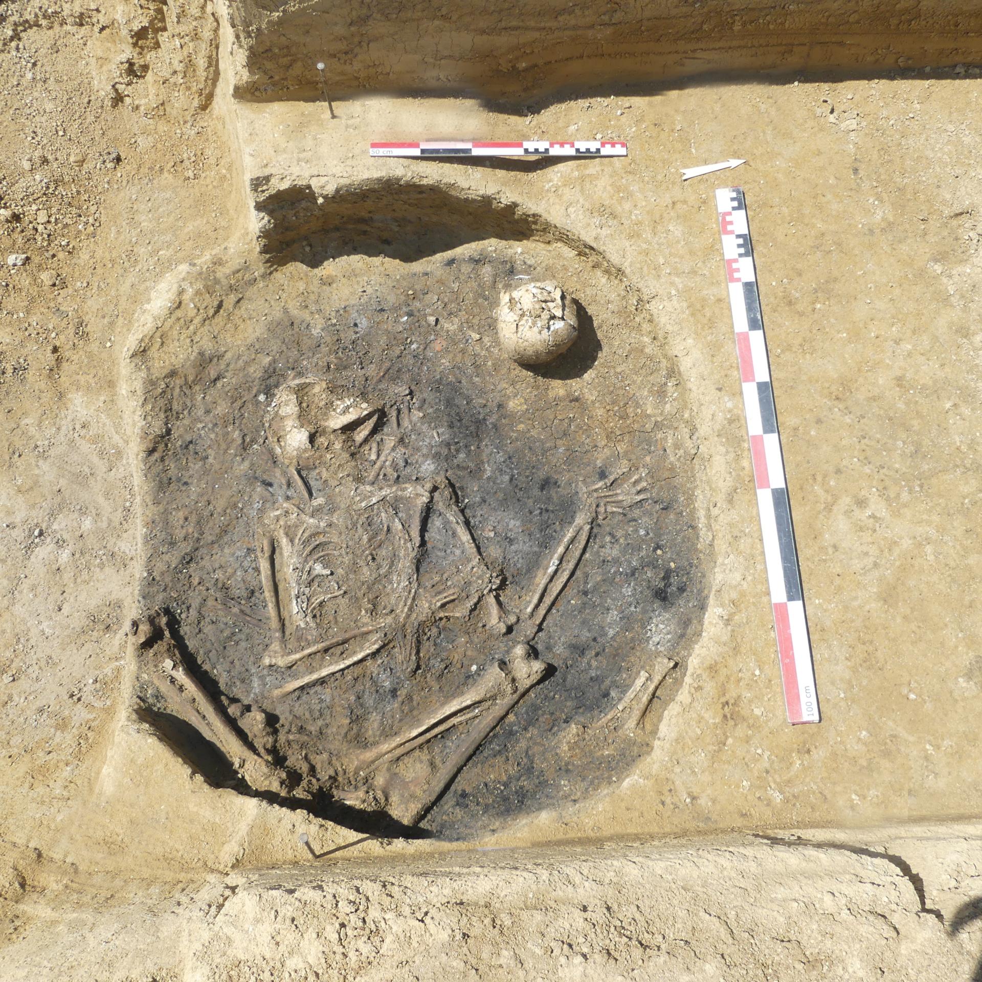 Unusual Gallic Burial in France Reveals Two Entwined Skeletons Inside a Silo