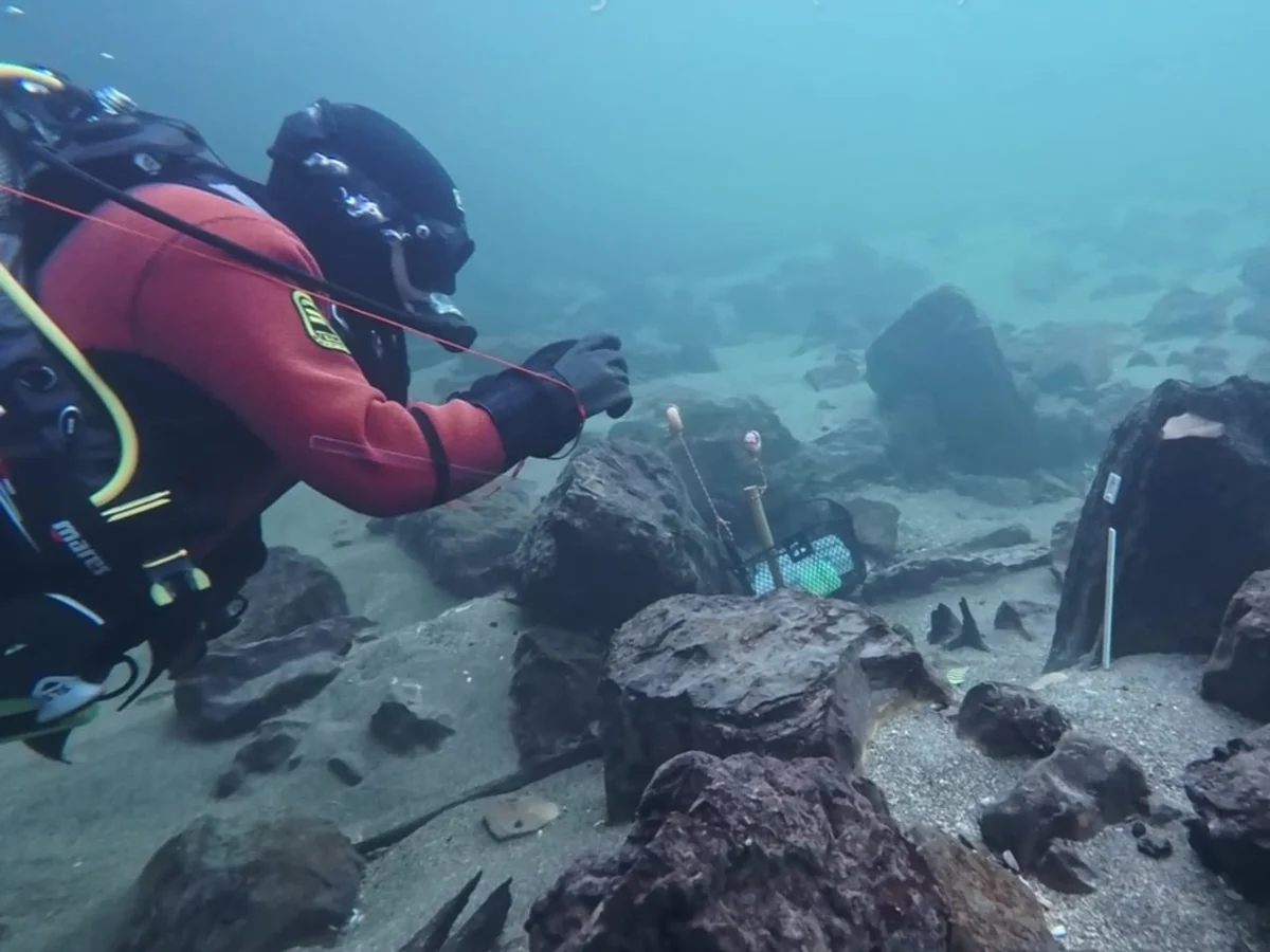 1,700-Year-Old Roman Bridge Found Beneath Switzerland’s Aare River in Solothurn