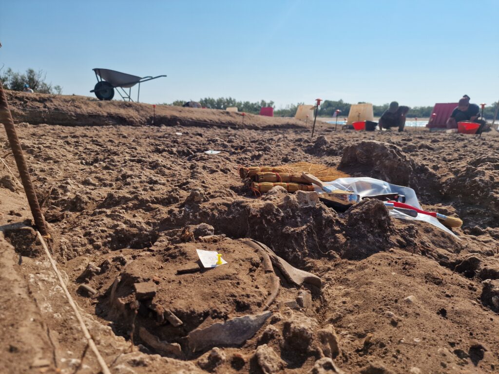3,200-Year-Old Cremation Cemetery in Italy Reveals an Adriatic Bronze Age Community